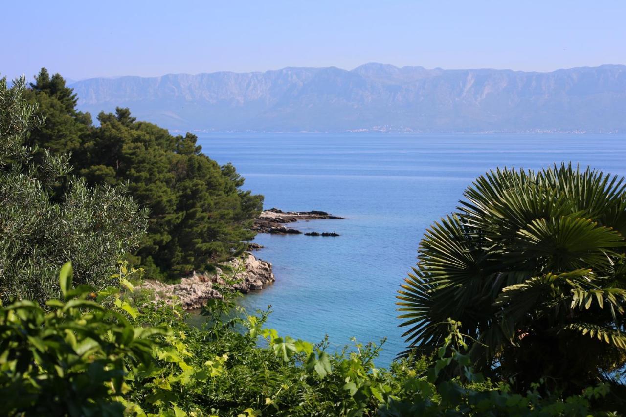 Apartments And Rooms By The Sea Trpanj, Peljesac - 258 Exterior foto
