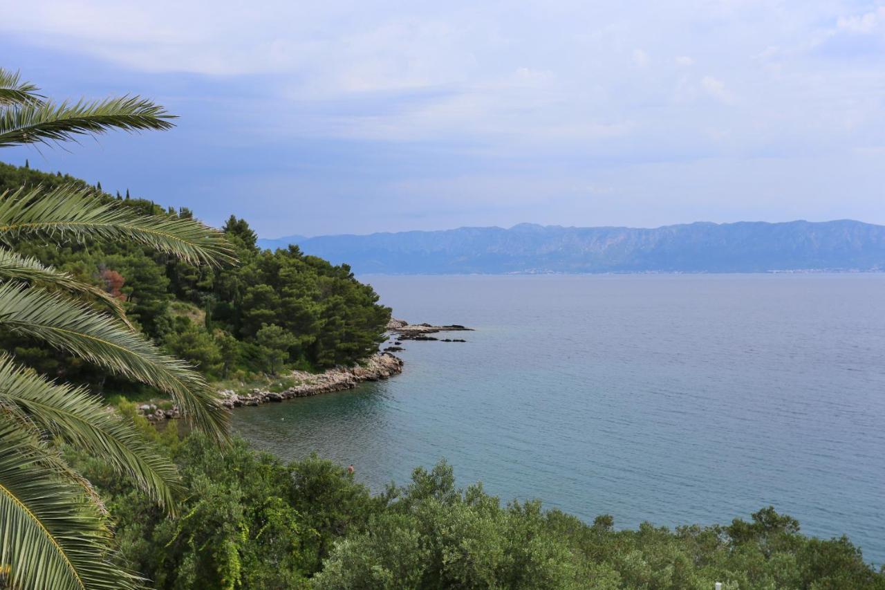 Apartments And Rooms By The Sea Trpanj, Peljesac - 258 Exterior foto